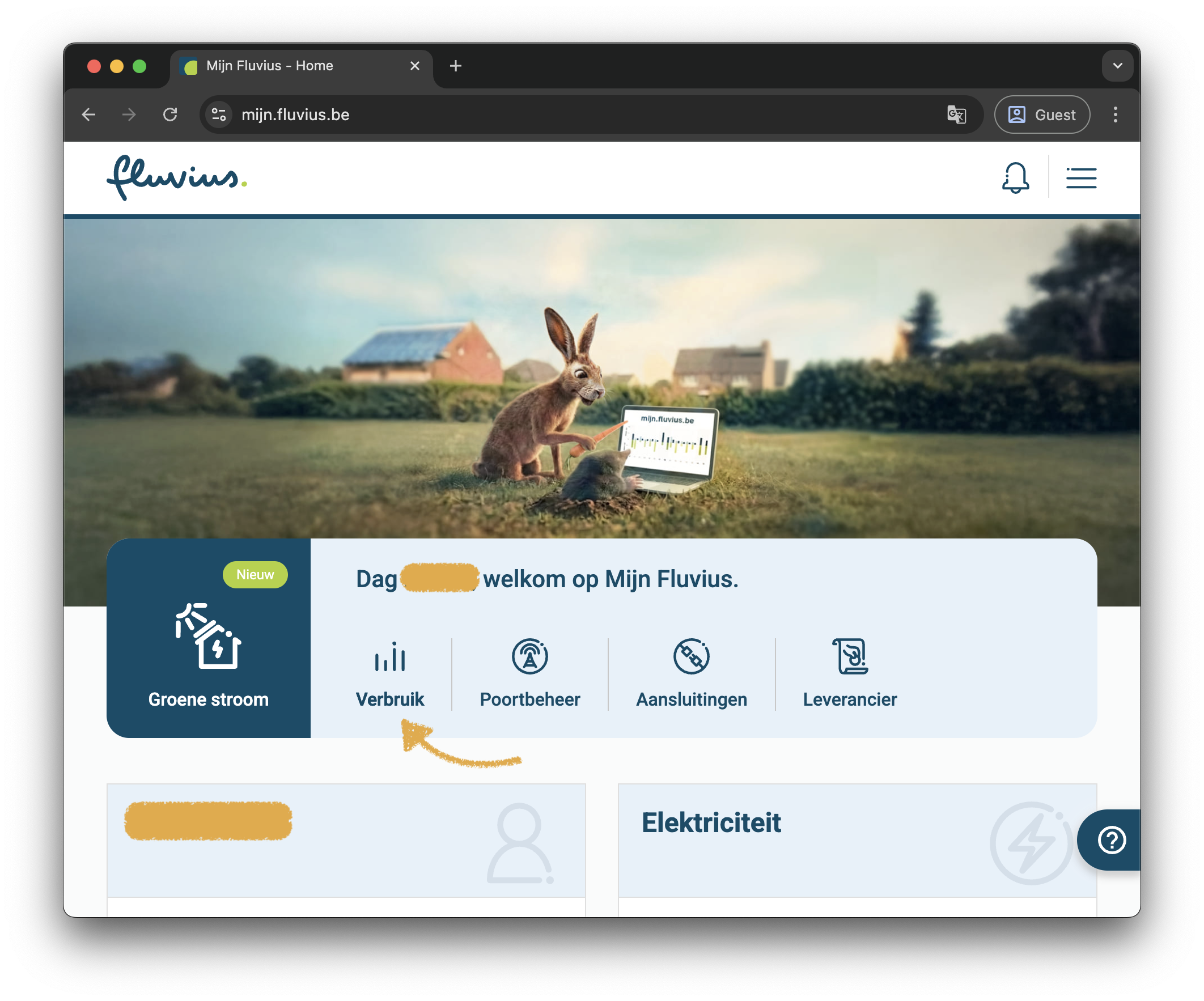 Mijn Fluvius homepage — klik Verbruik
